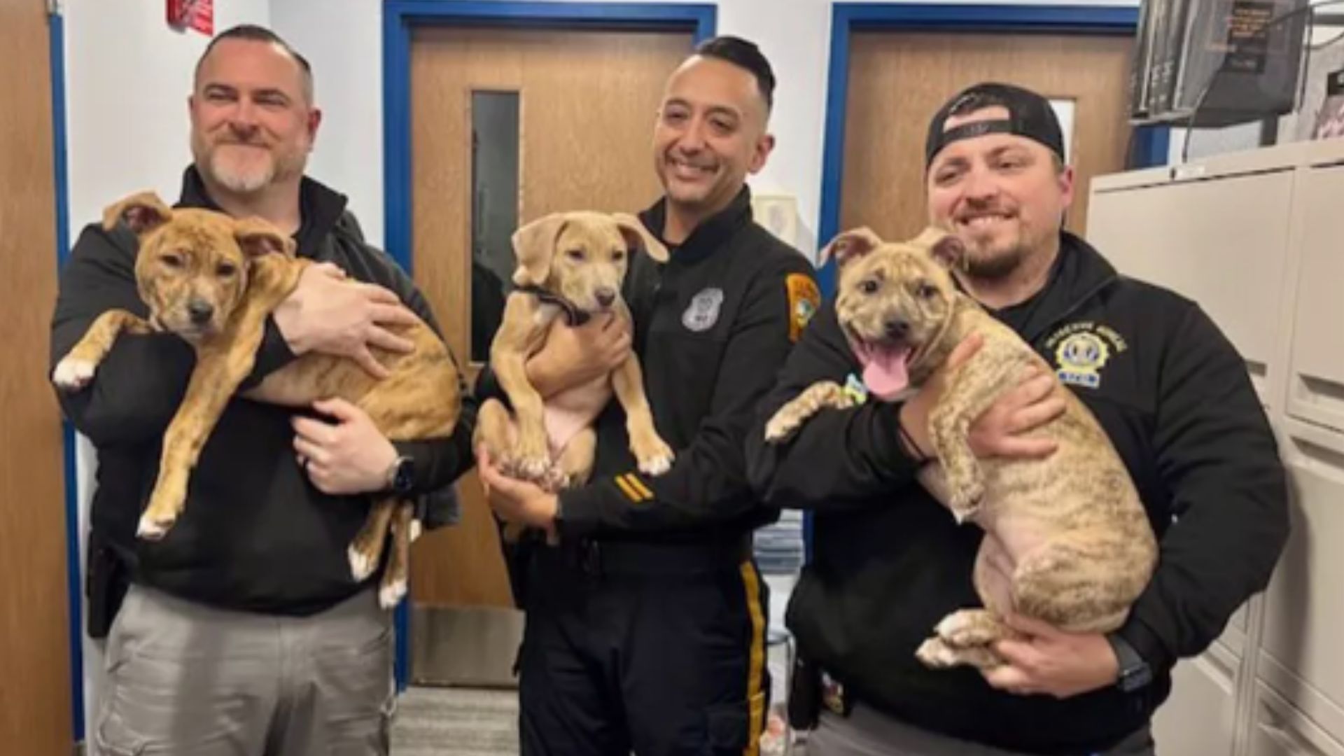 officers and adopted puppies