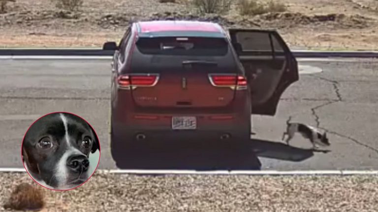 woman tossing dog away