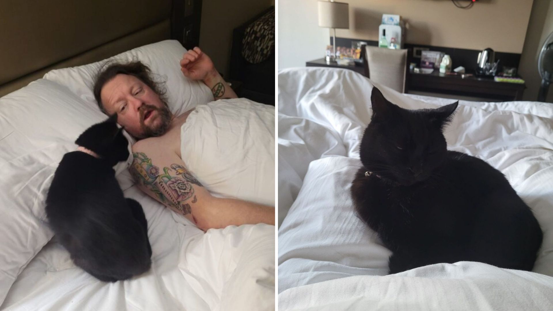 Stunned Utah Couple Discovers A Cat In Their Bed At 3 AM, And They Don’t Own One