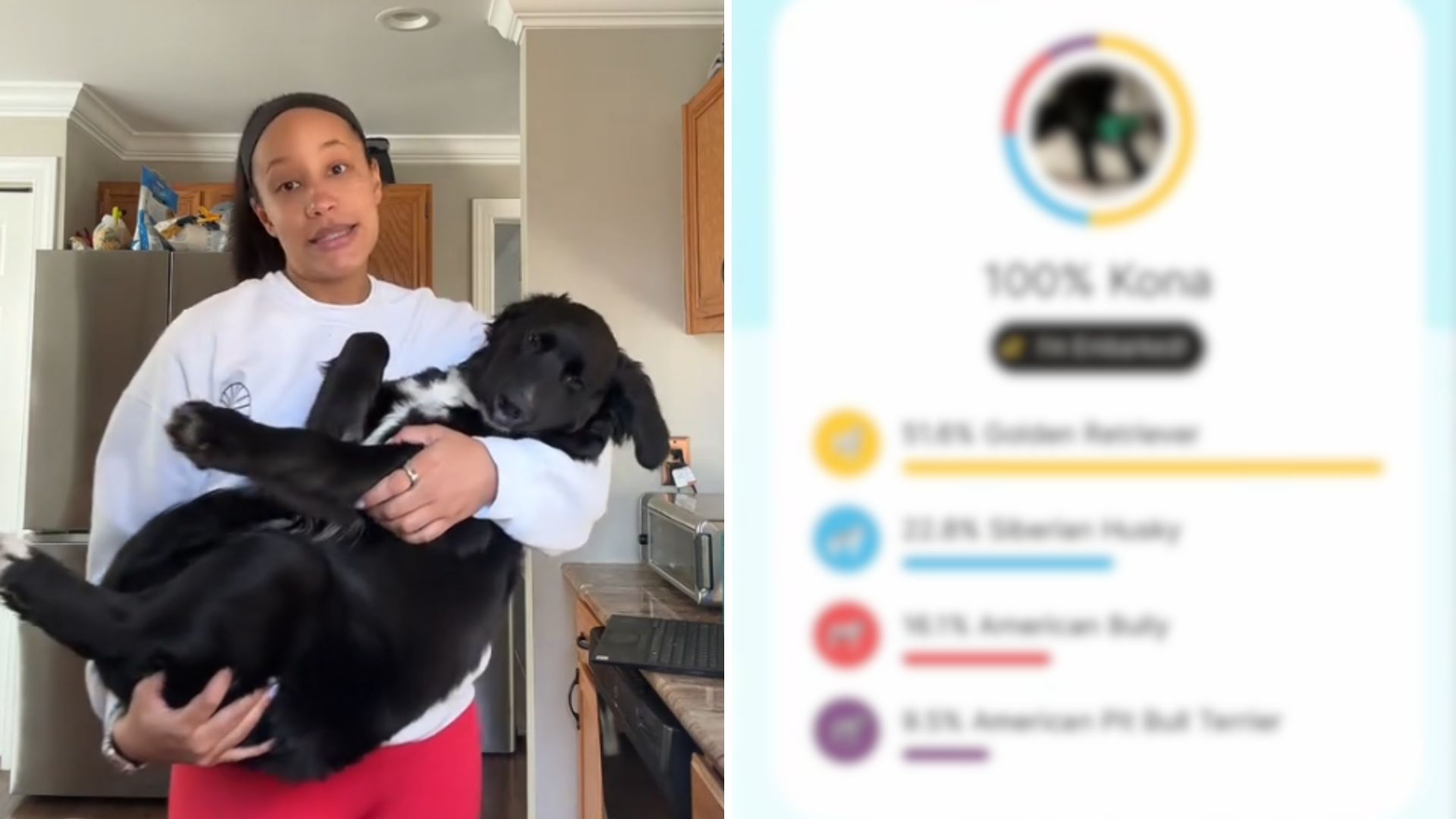 woman and black dog