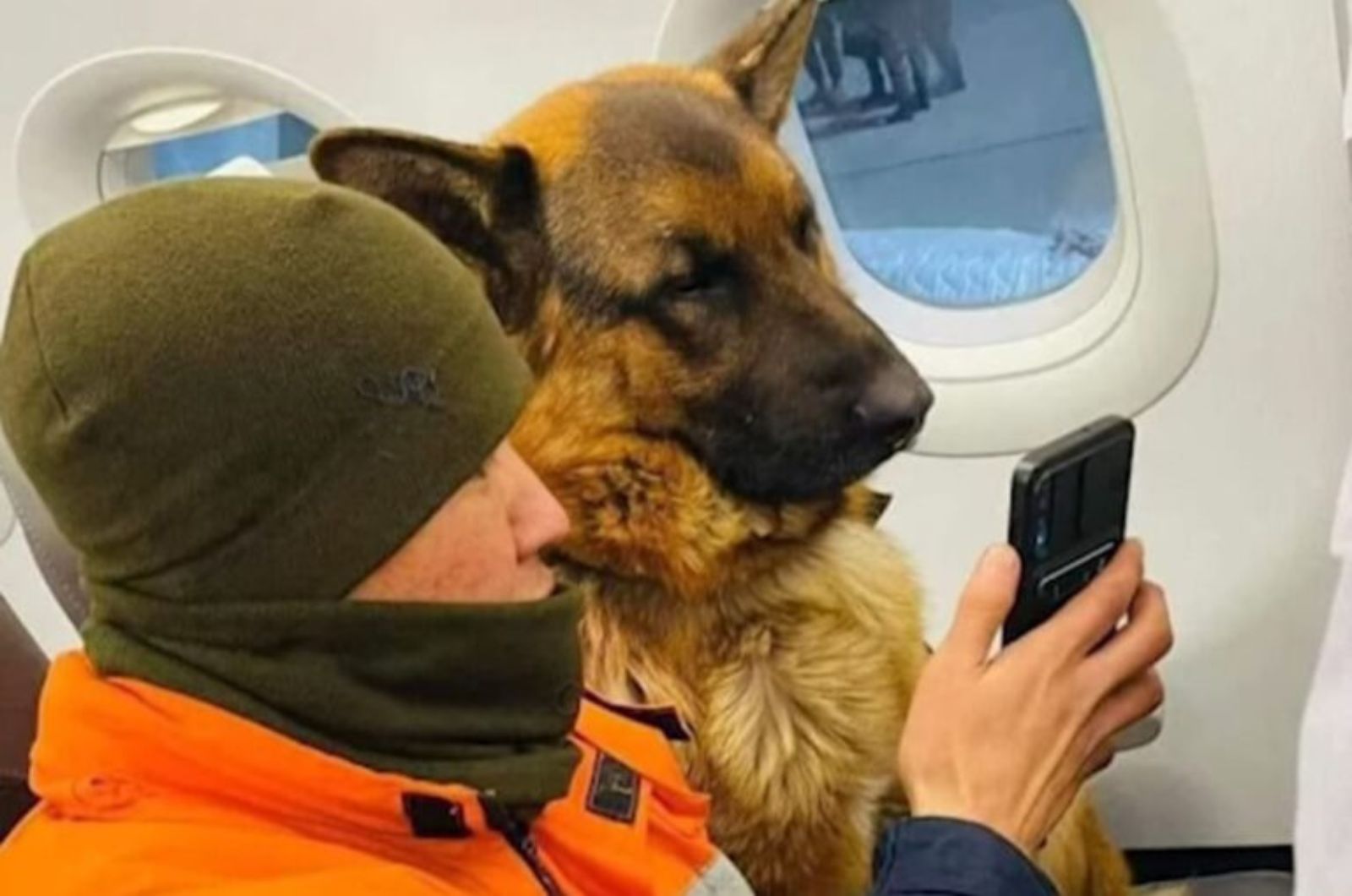 man showing a dog phone