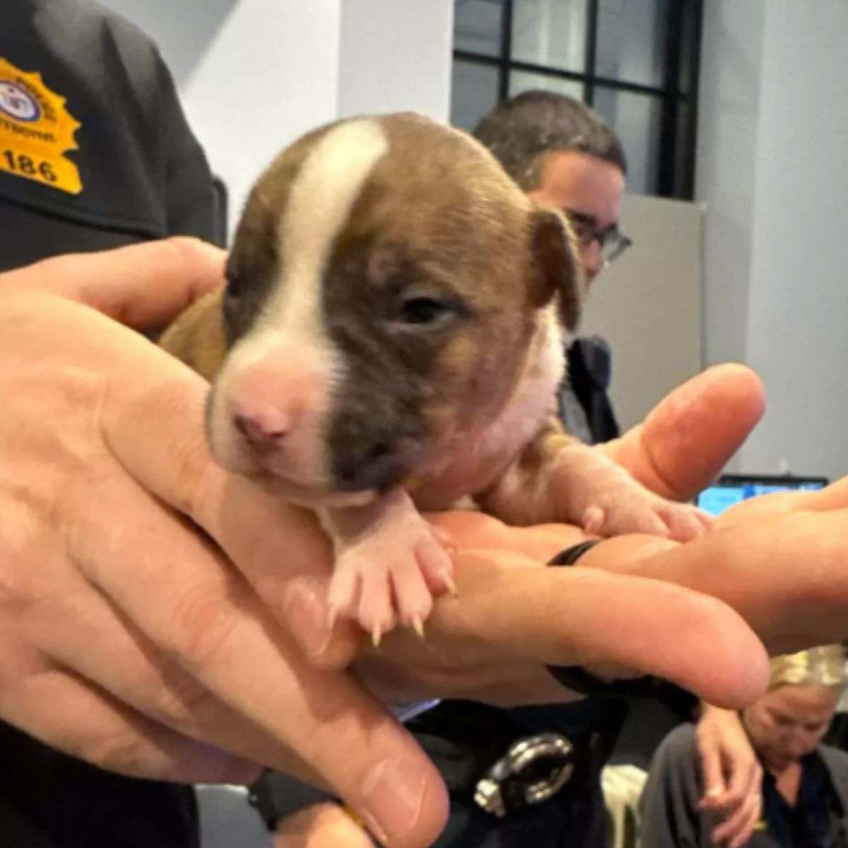 officer holding a puppy