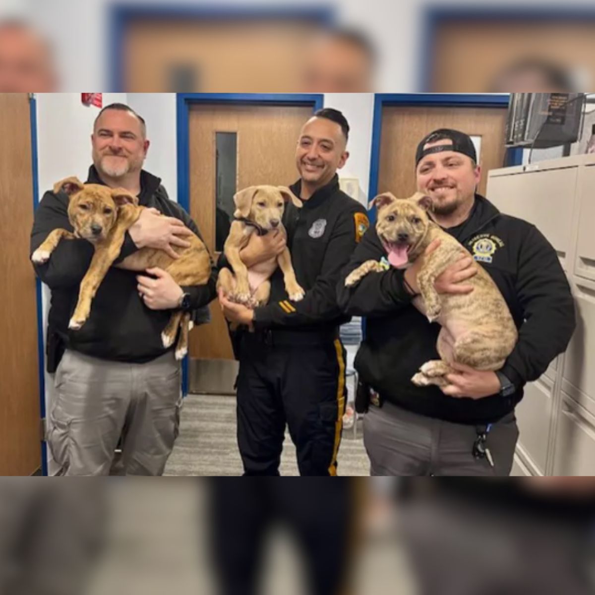 officers and puppies