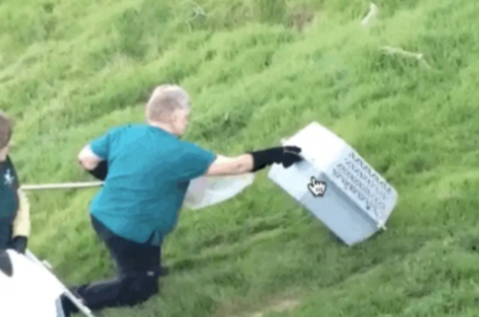 people releasing bobcat