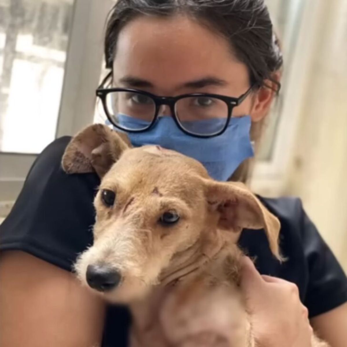 woman with glasses and dog