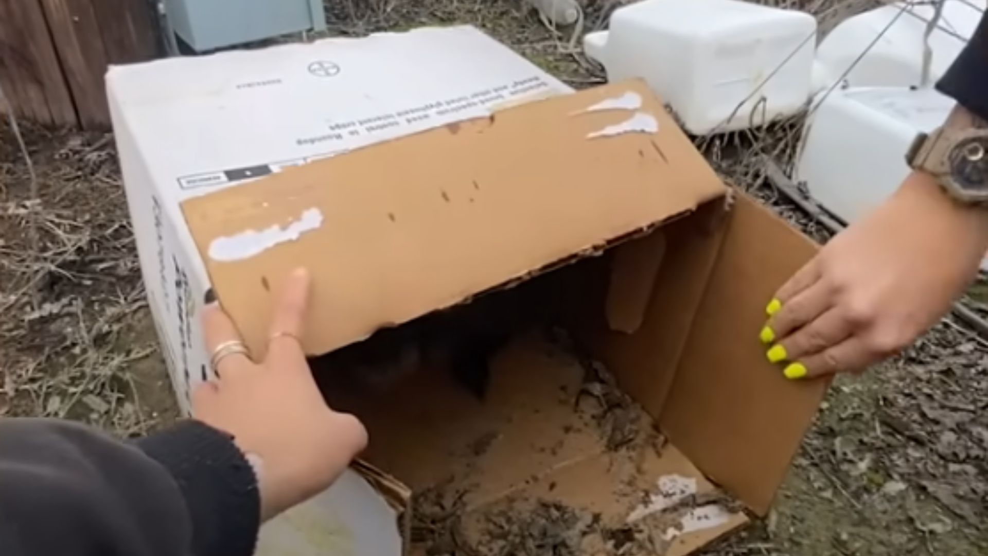 cardboard box
