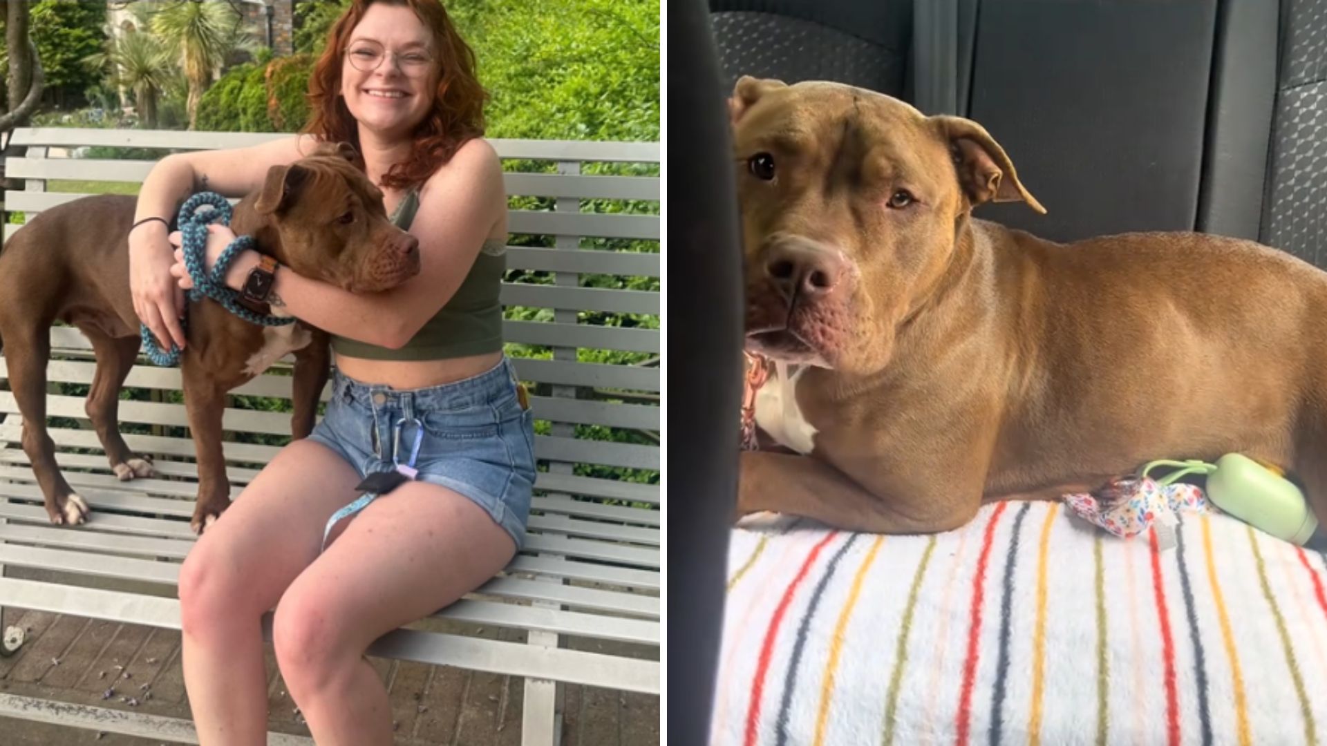 woman and shelter dog