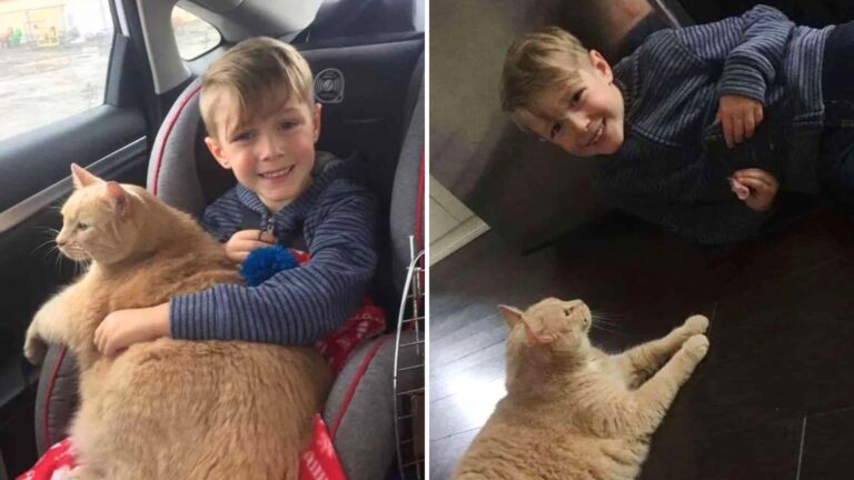 Out Of All The Cats In The Shelter, A Young Boy Picks The One No One Else Would
