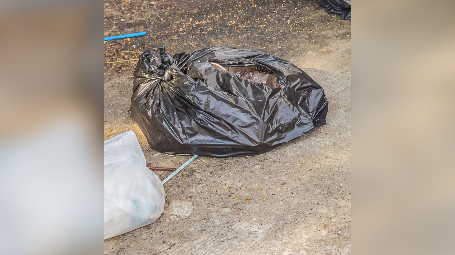 trash bag
