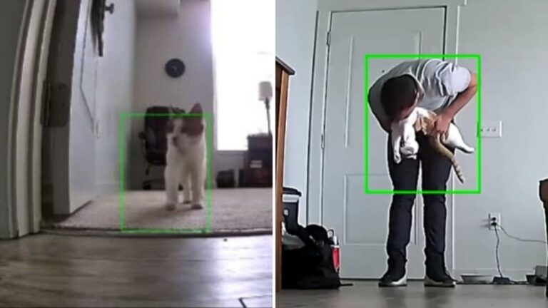This Utah Cat's Heartwarming Welcome Home After Work Will Bring A Smile To Your Face