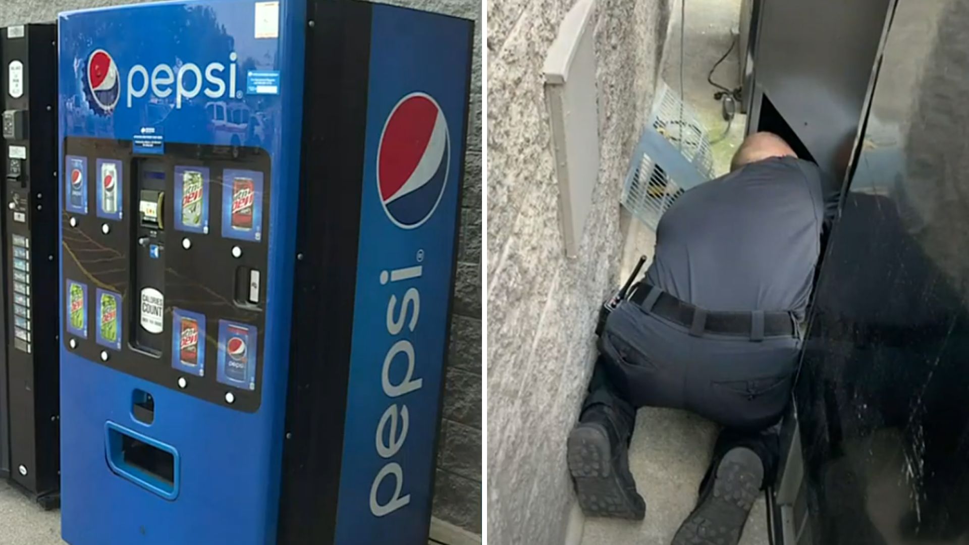 vending machine