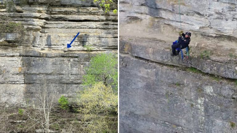 dog on cliff