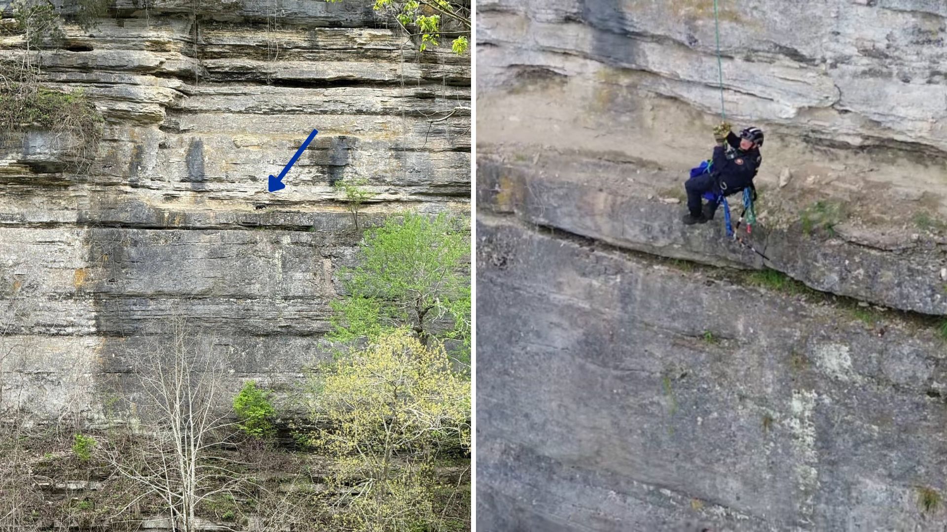 dog on cliff