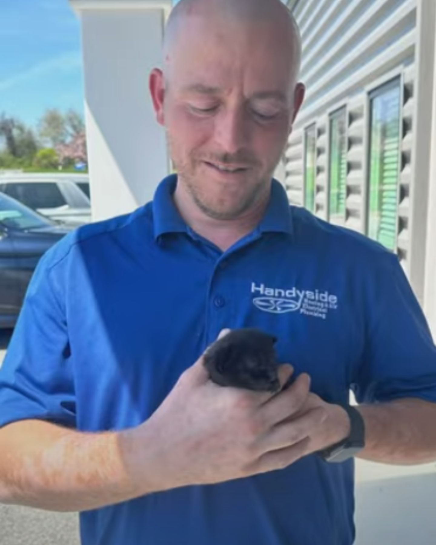 bald man holding a black kitten