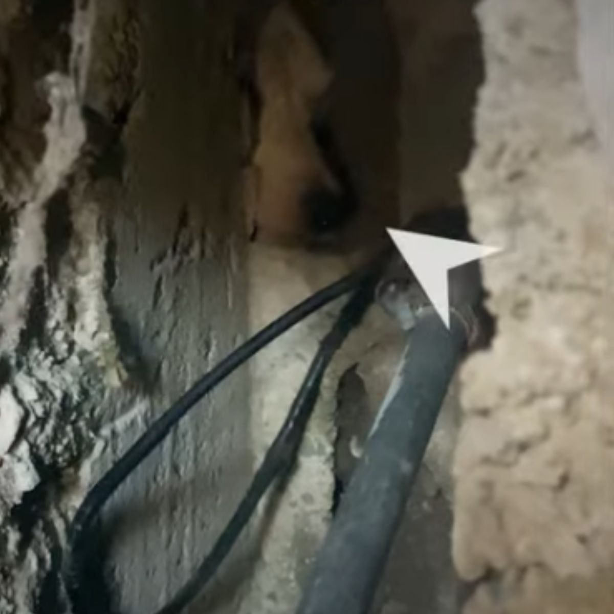broken wall