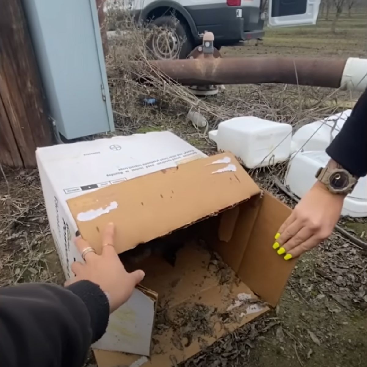 cardboard box