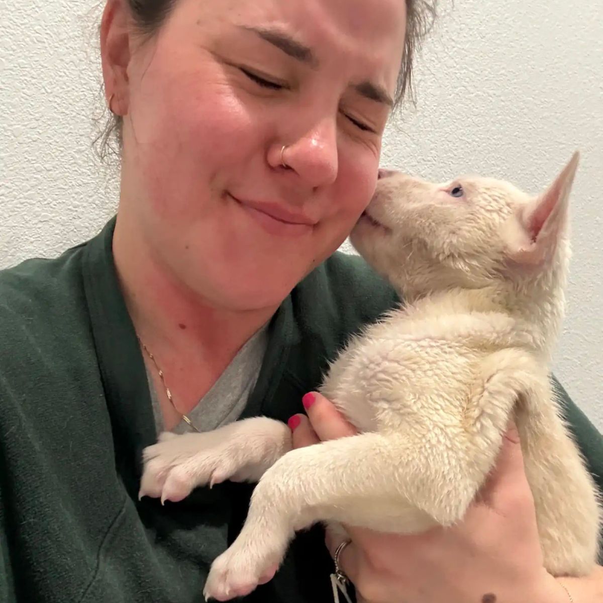 dog kissing a woman