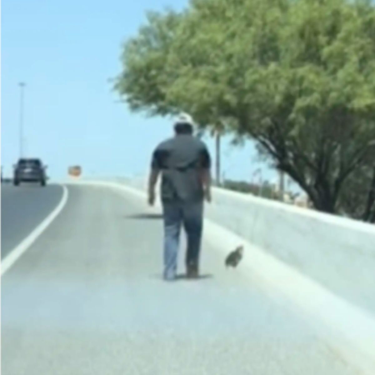 man and kitten on road