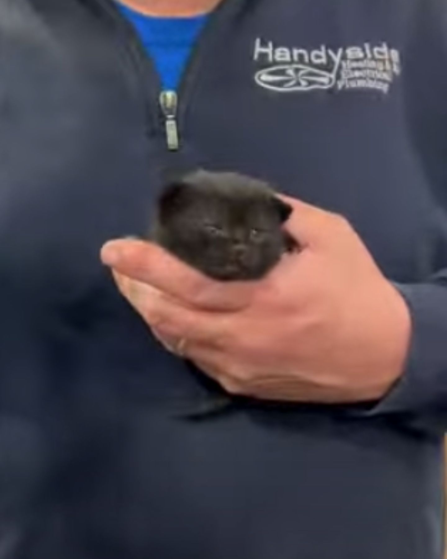 man holding a black kitten