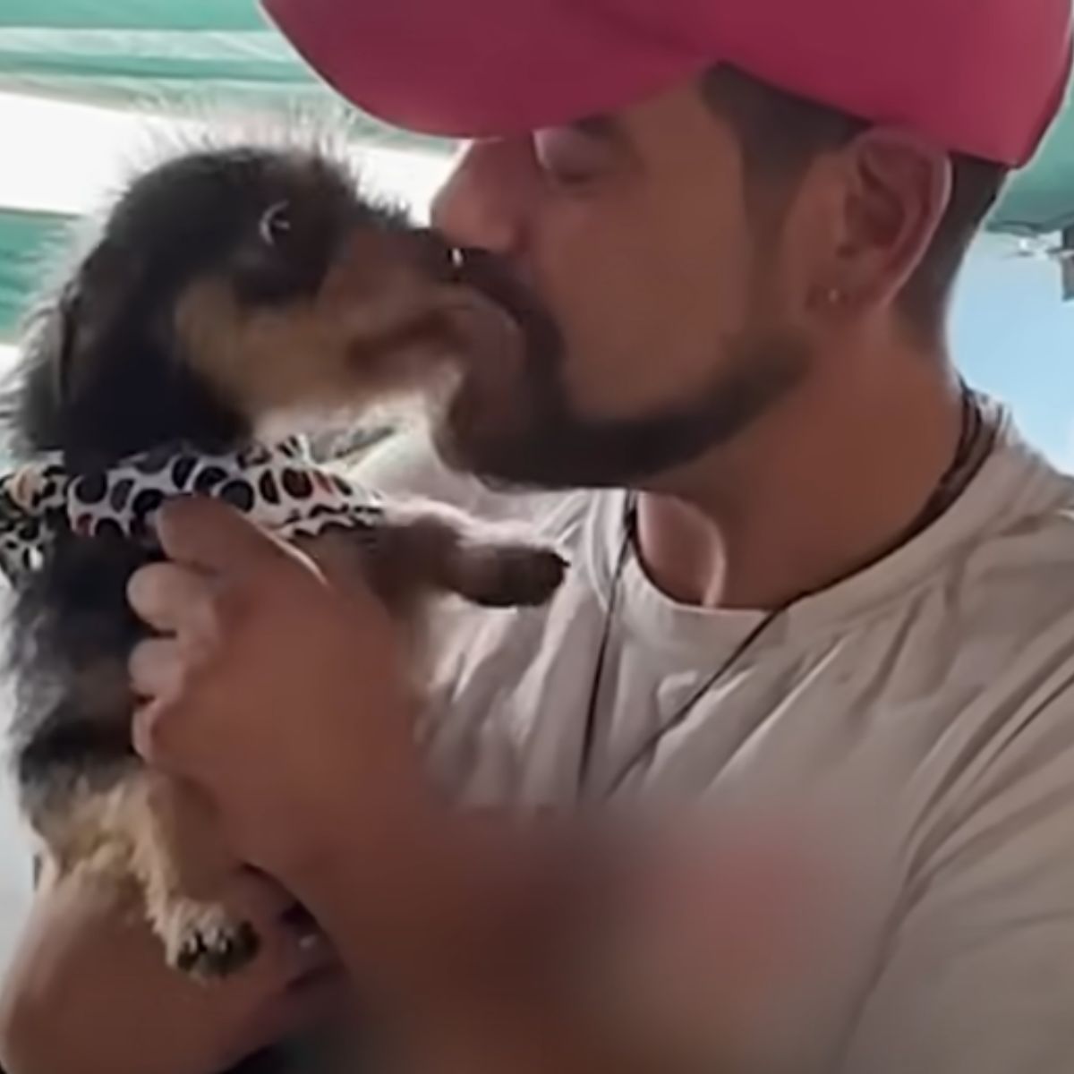 man kissing a dog