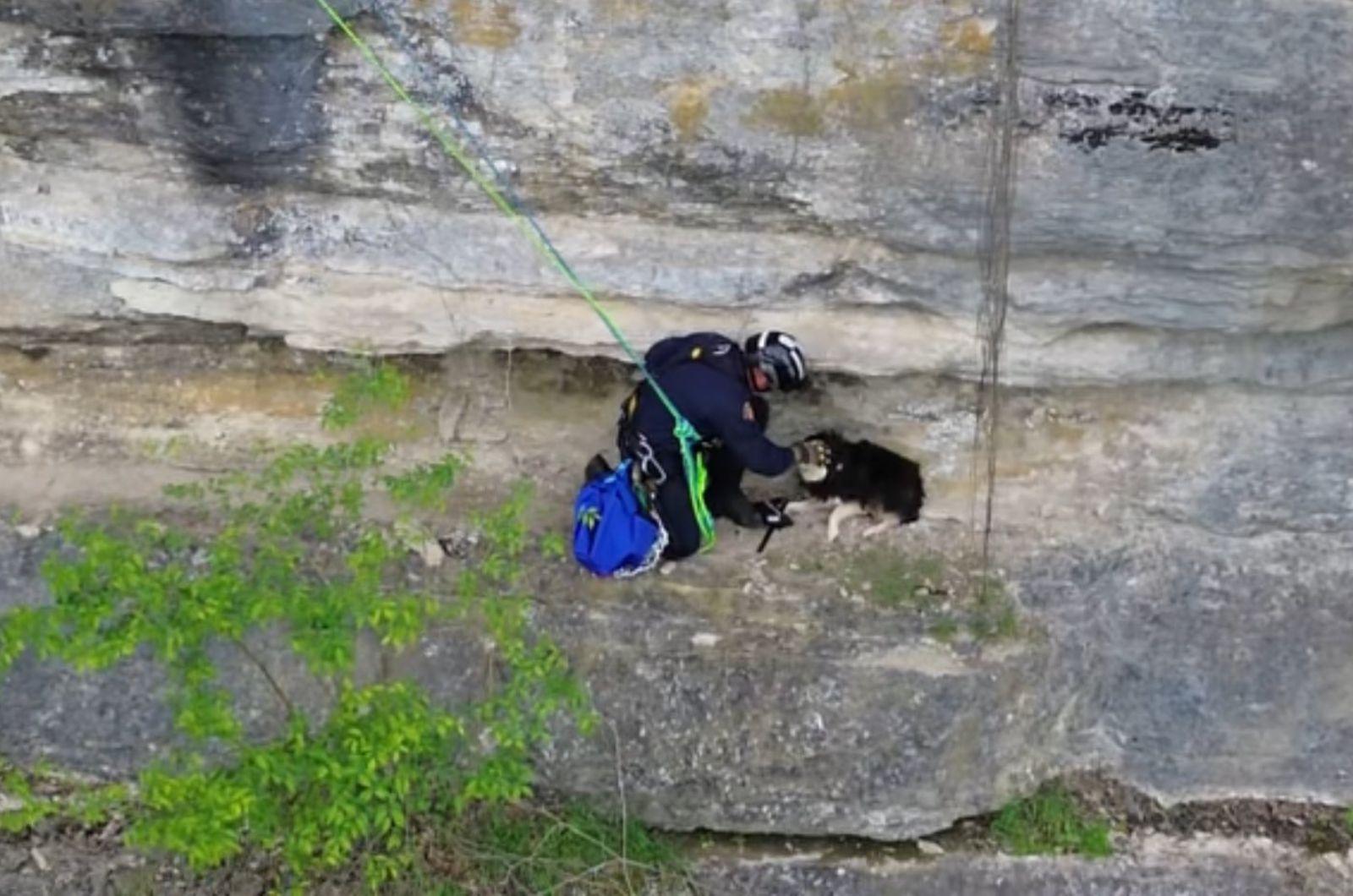 man saving a dog on cliff