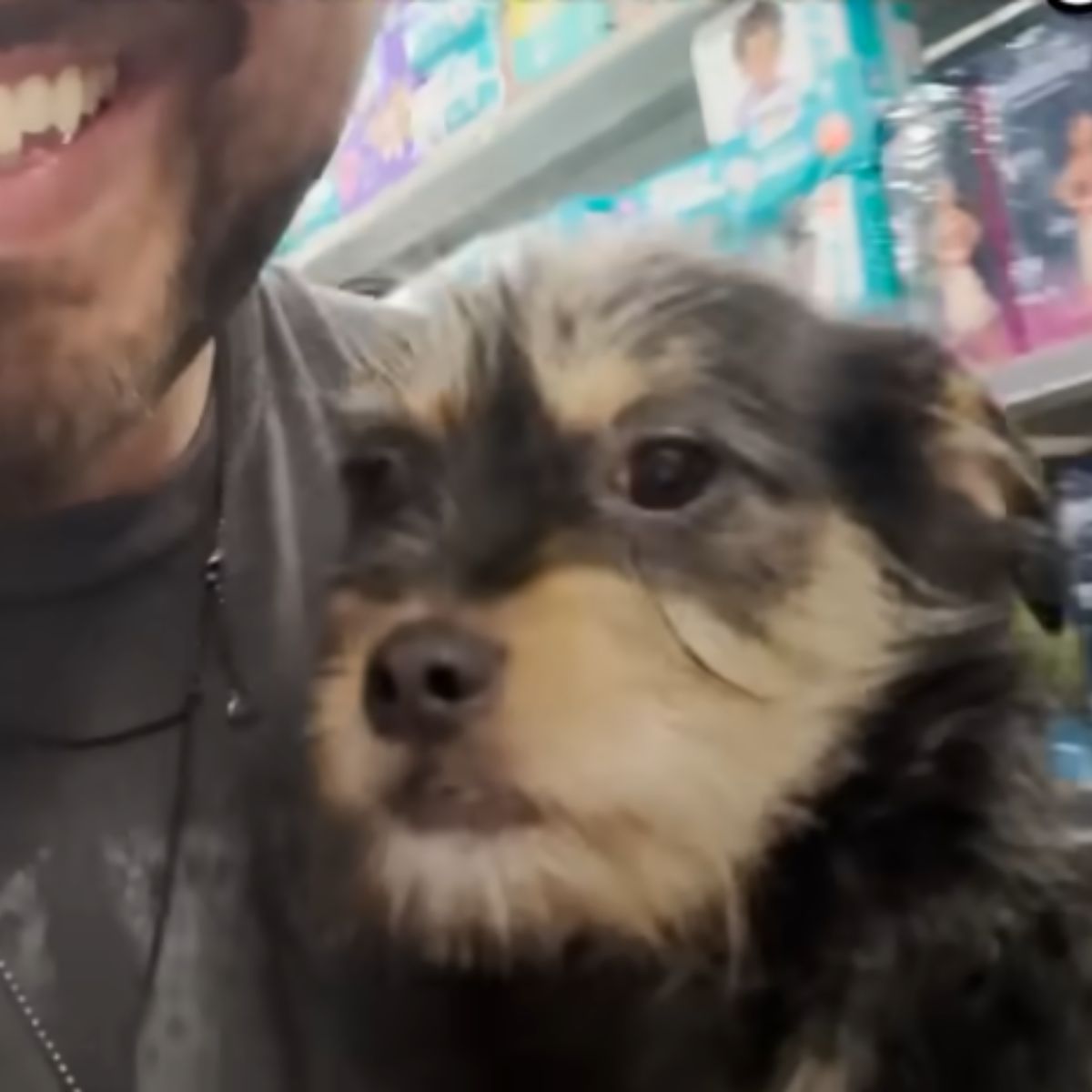 man smiling and holding a dog