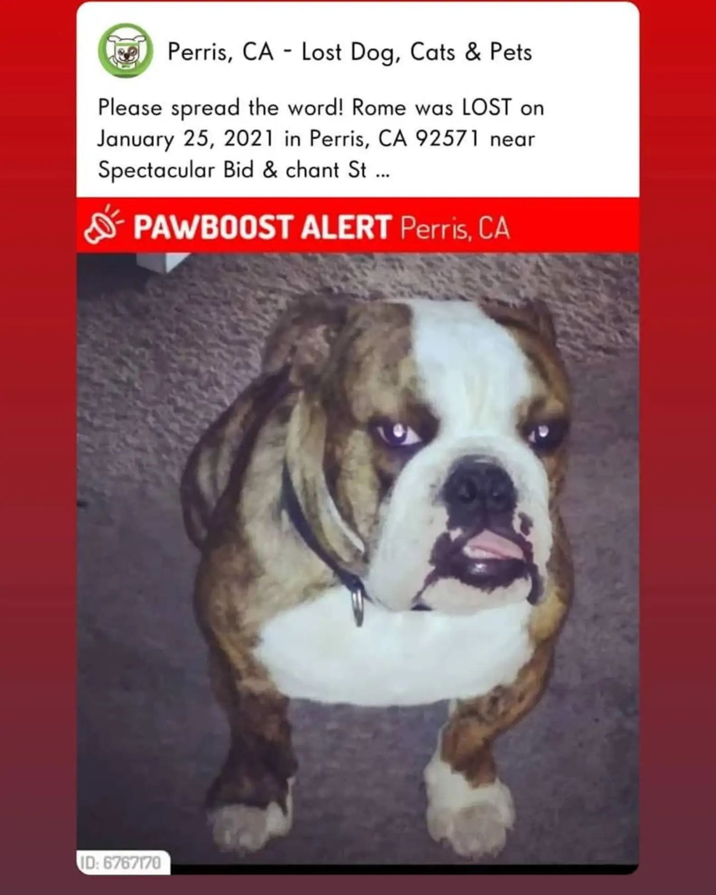 missing poster