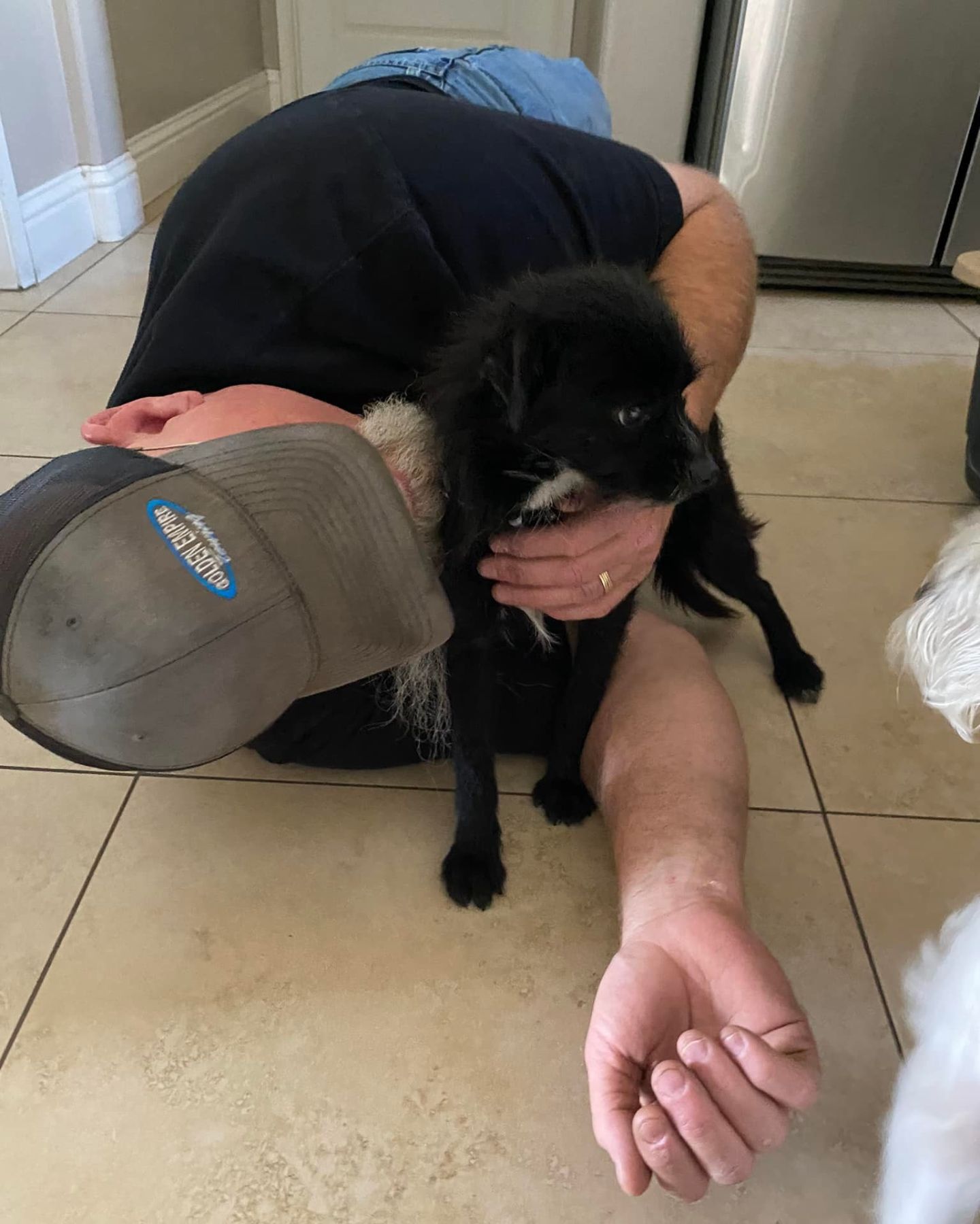 owner holding a dog