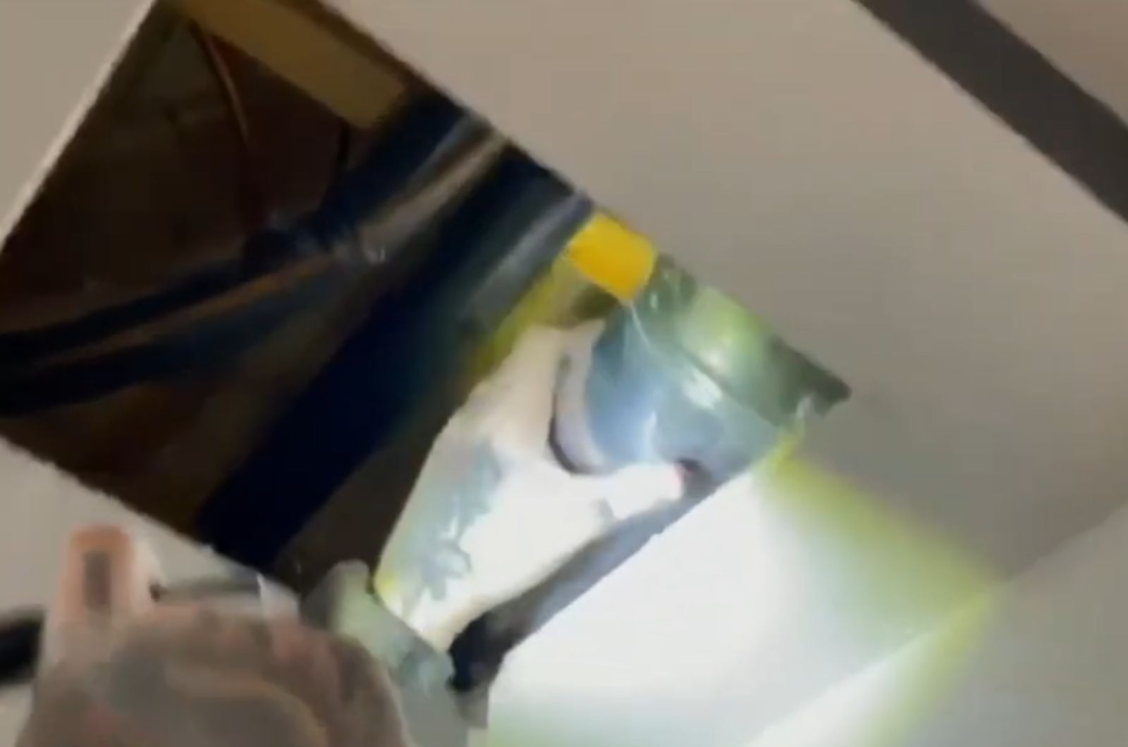 plumber doing a work