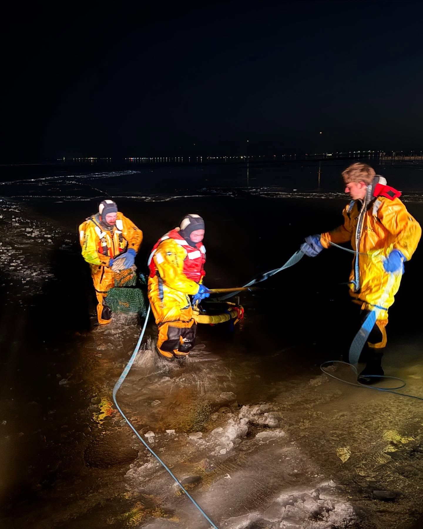 rescuers saving a seagull