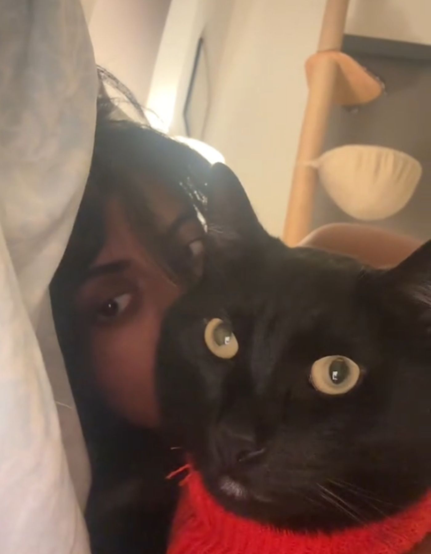 woman and black cat