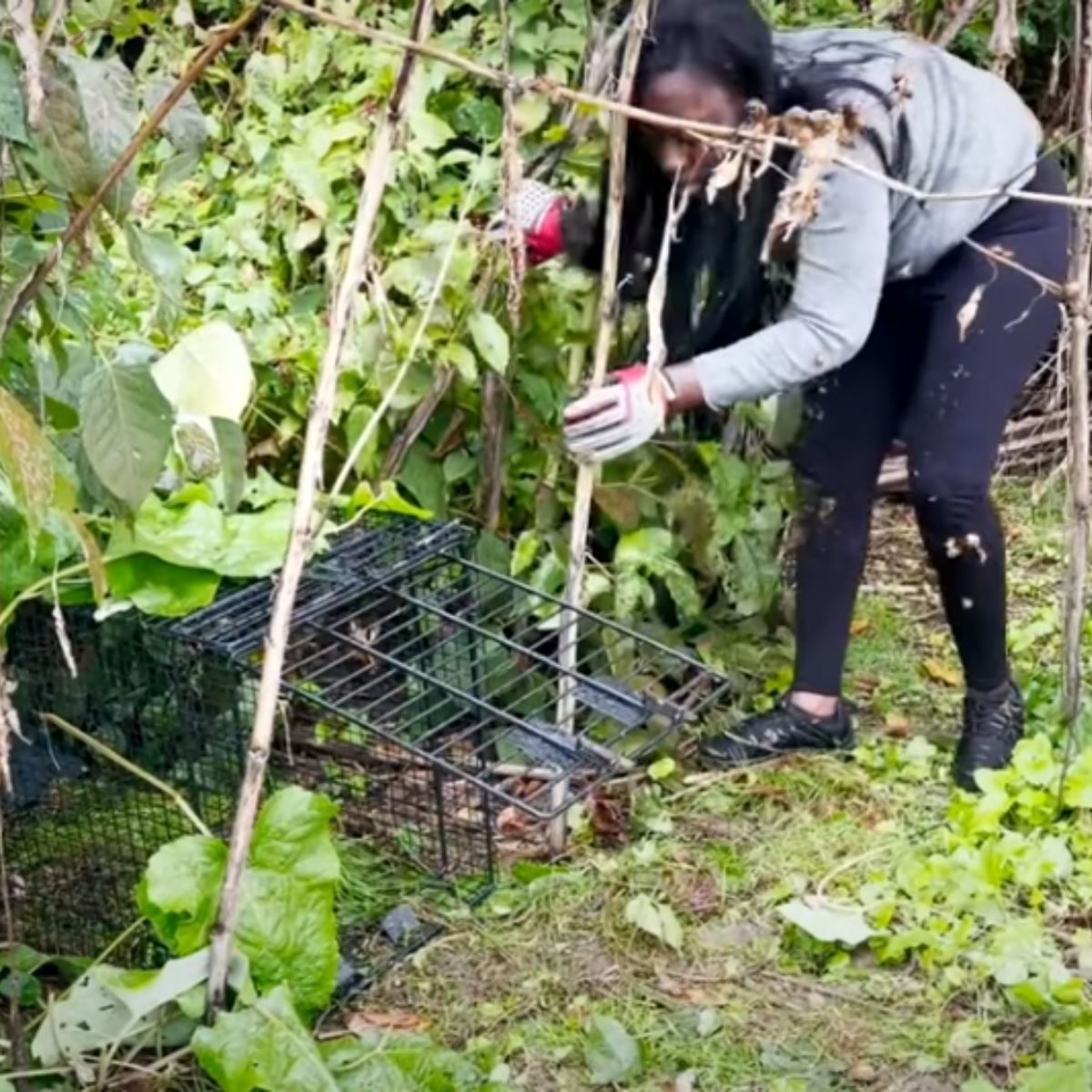 woman and crate