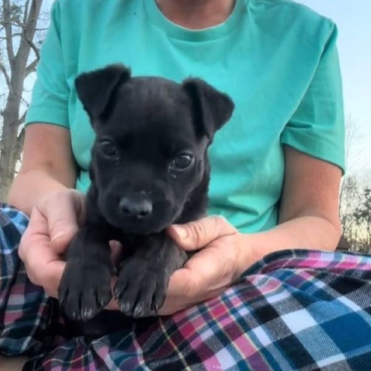 woman and tiny black puppy