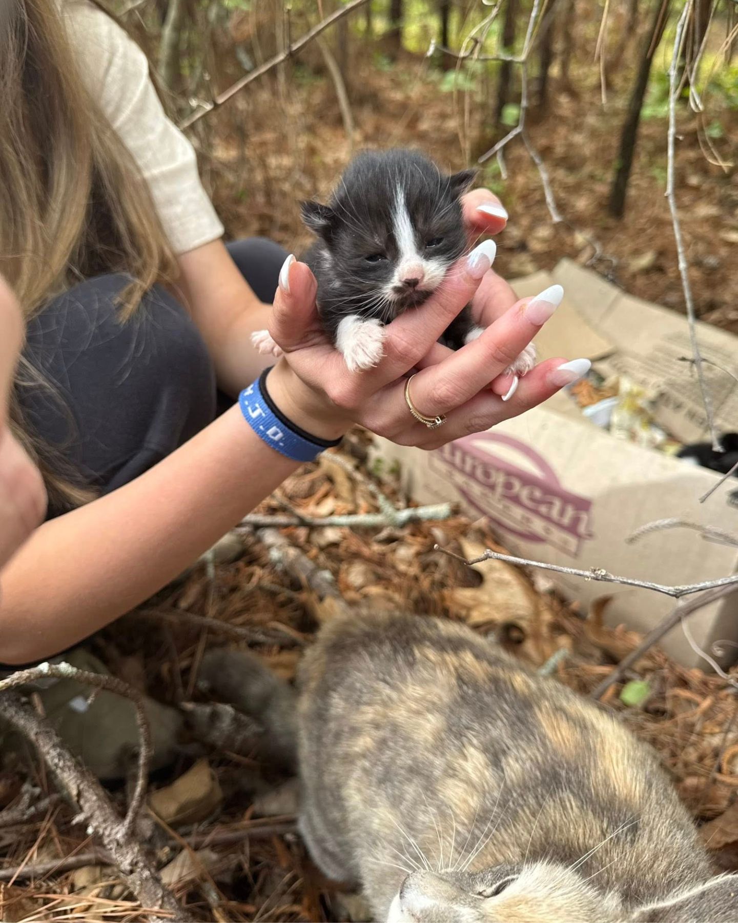 woman and tiny kitten