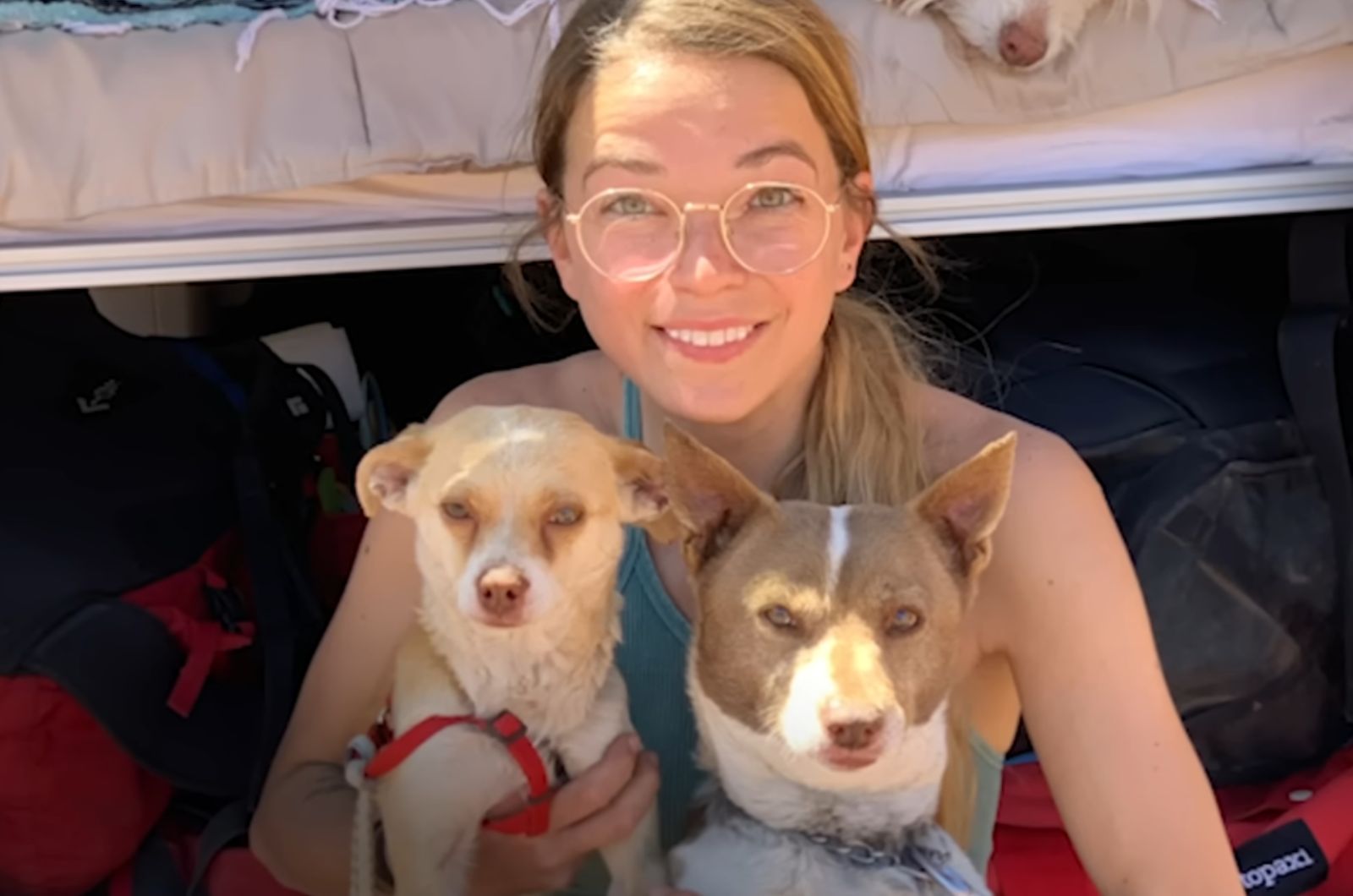 woman and two dogs
