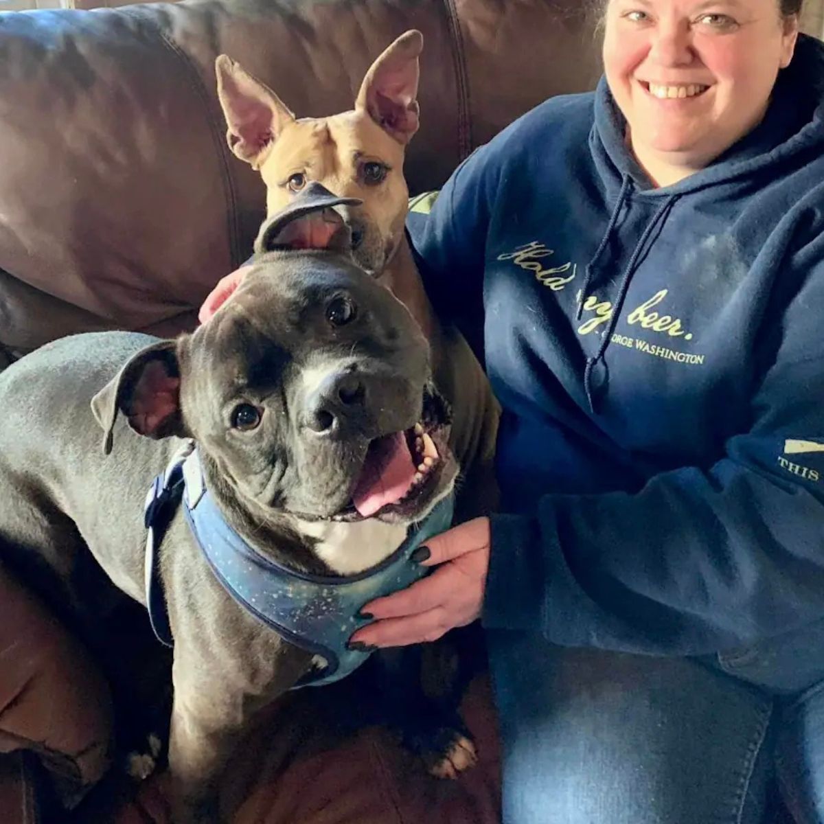 woman and two senior dogs