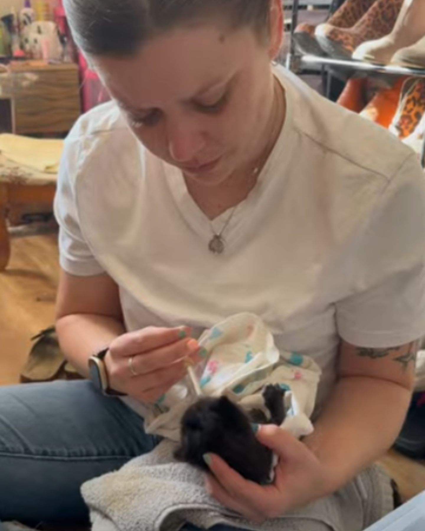 woman feeding a newborn kitten