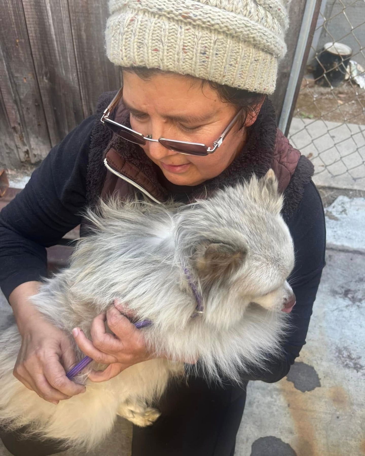 woman holding a gray dog