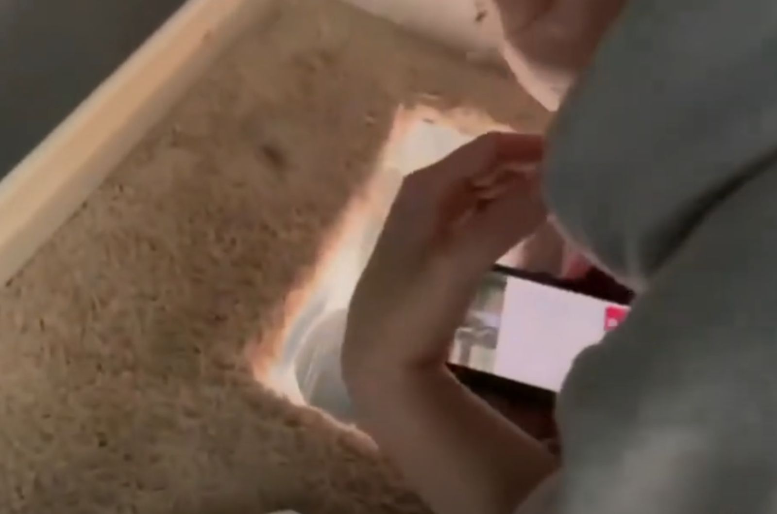 woman holding a phone