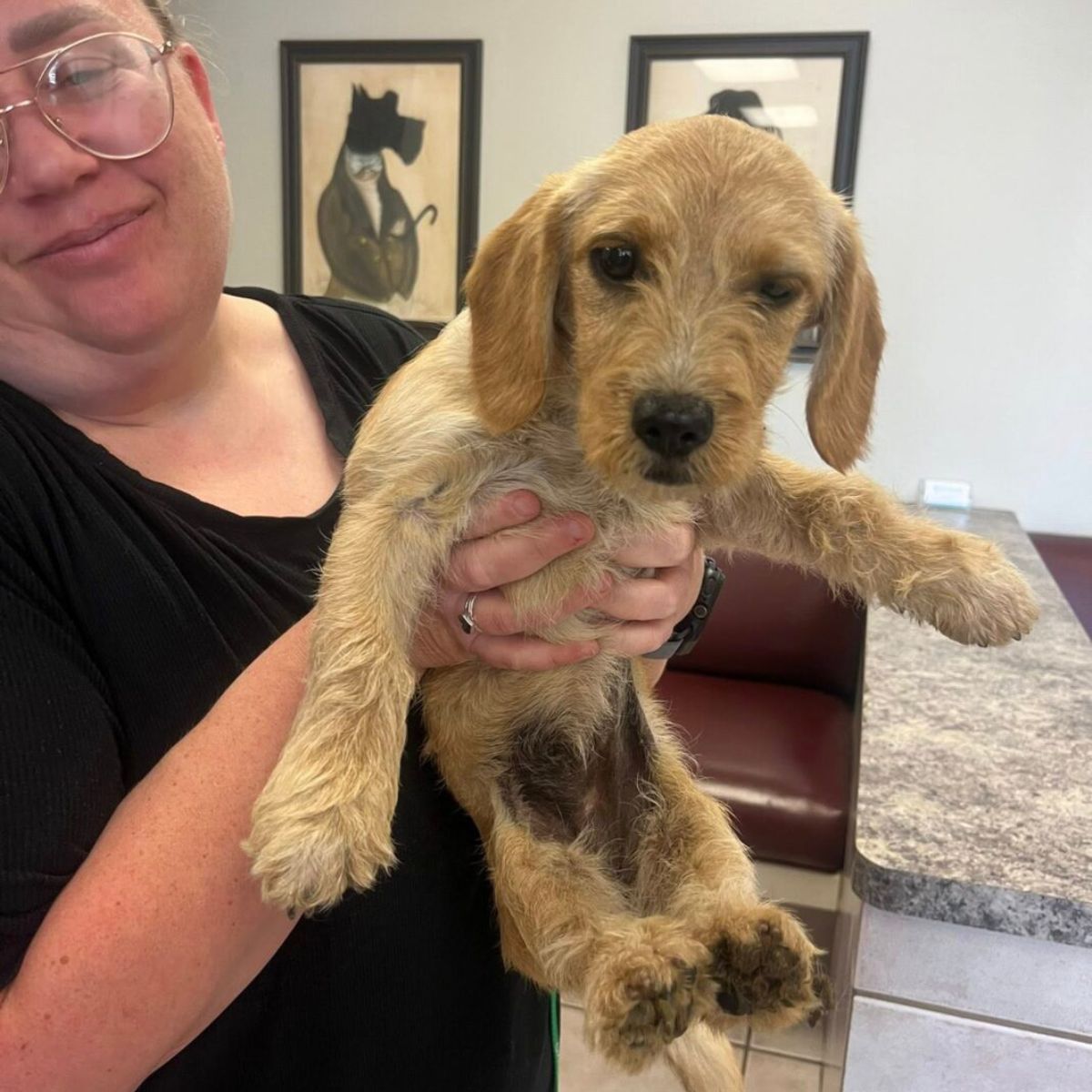 woman holding a puppy