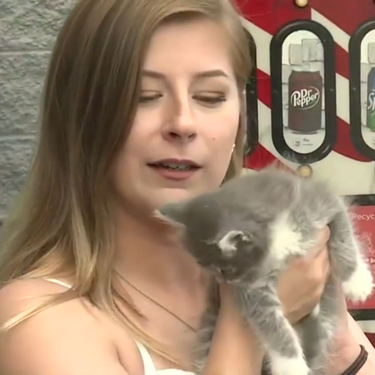 woman holding a tiny kitten
