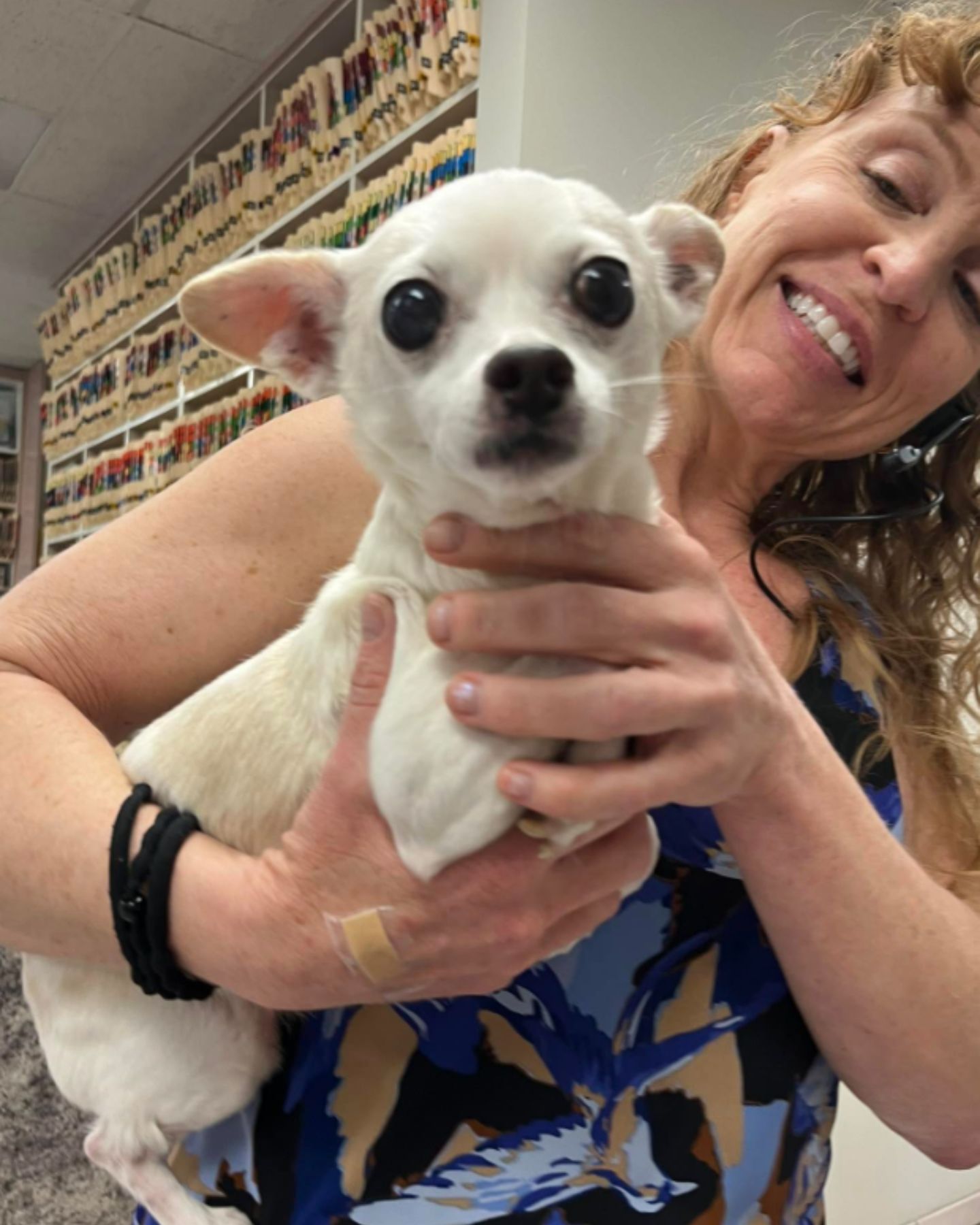 woman holding a white dog