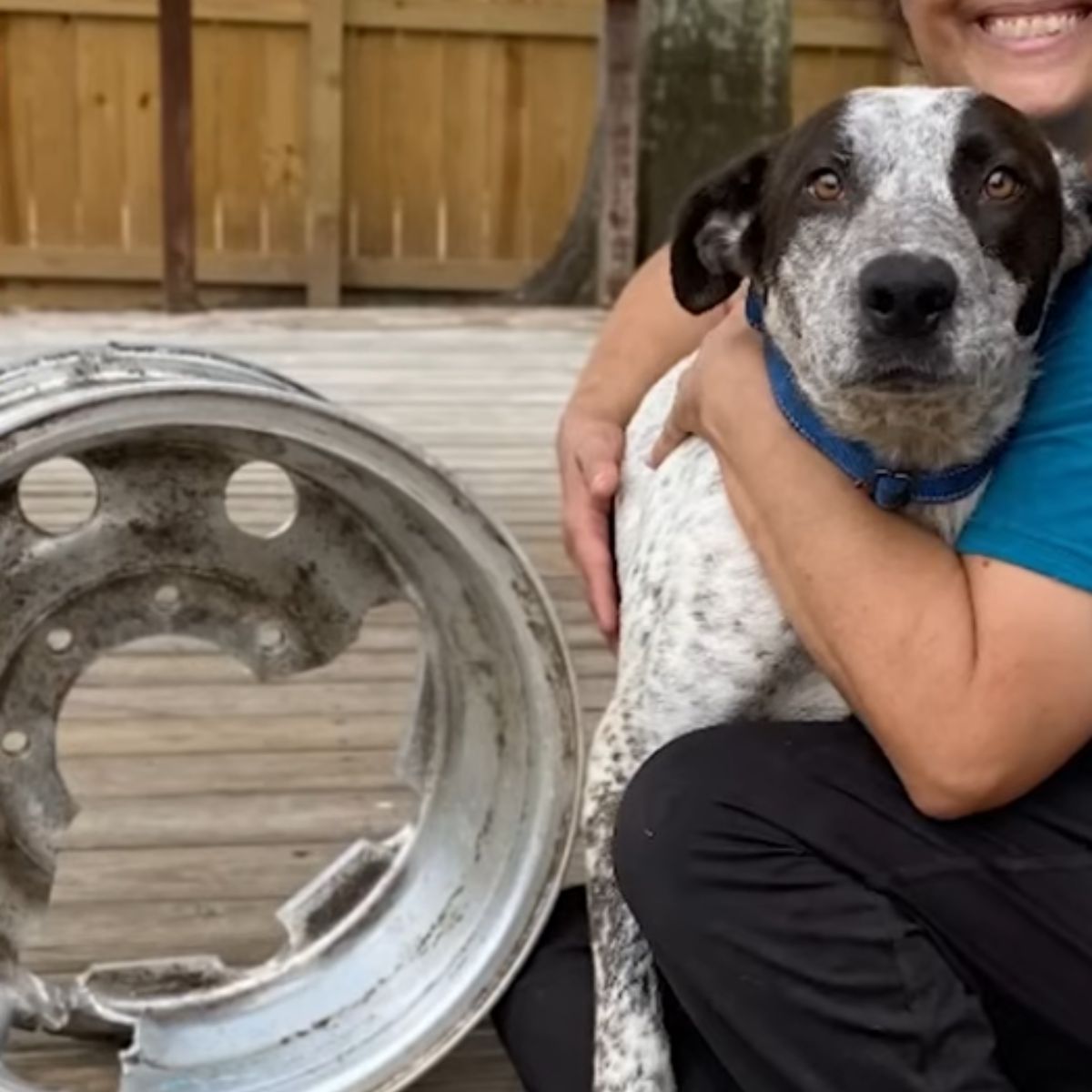 woman hugging a dog