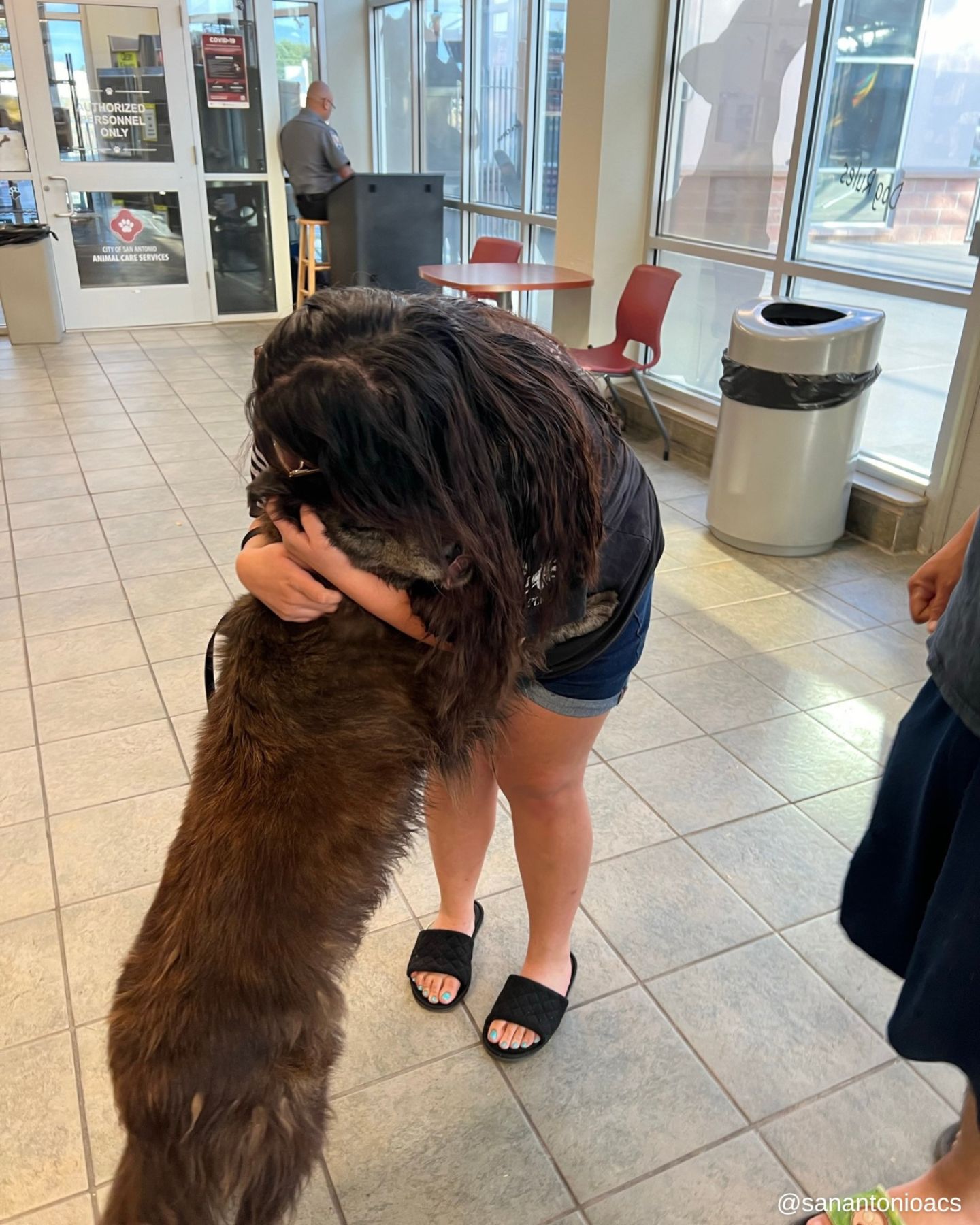 woman hugging a dog