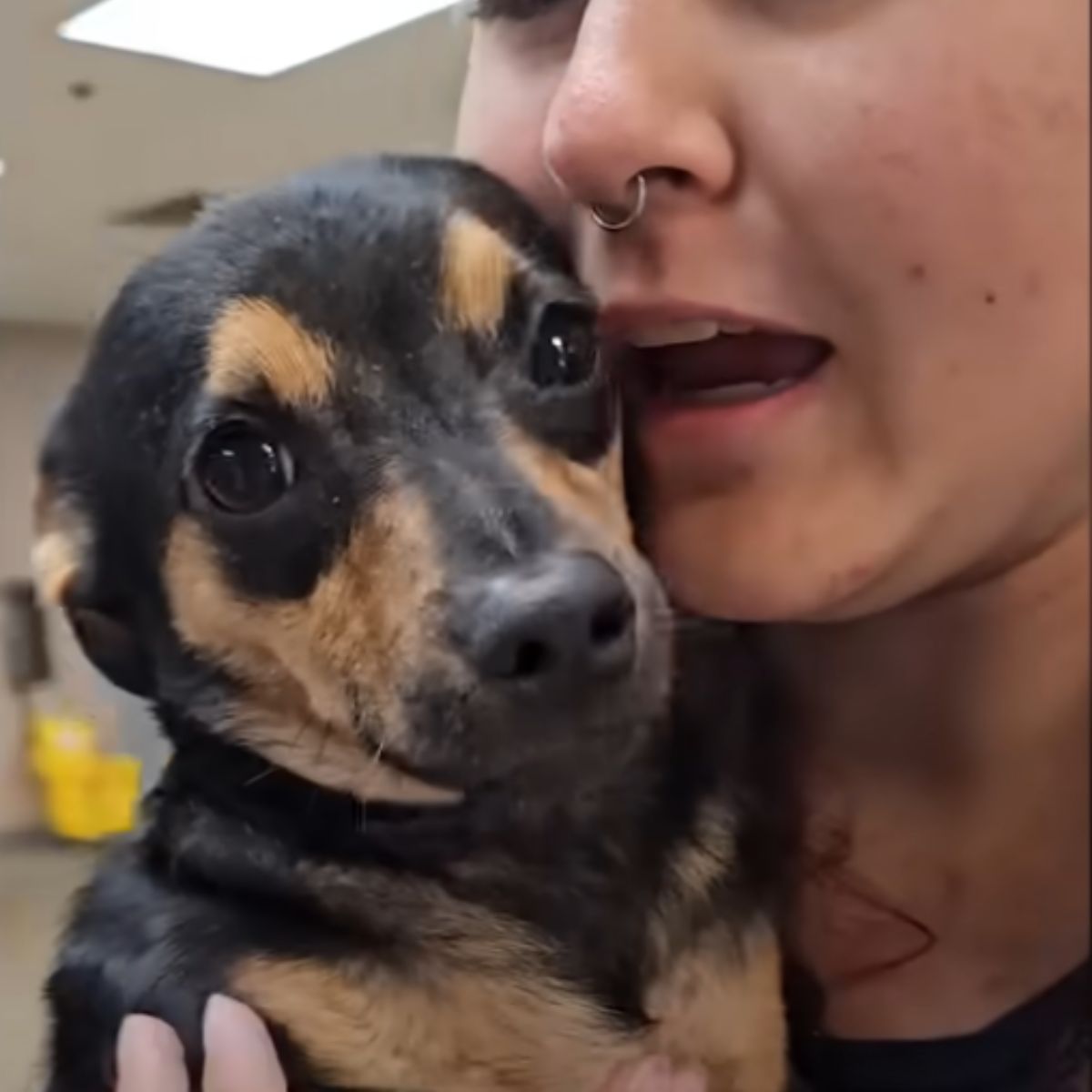 woman hugging a sweet dog