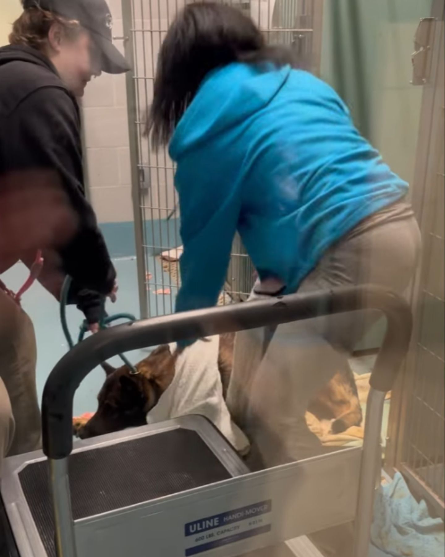women and senior dog