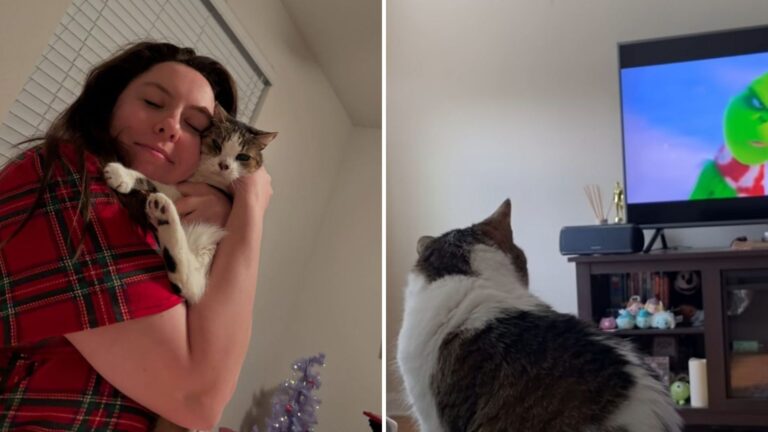 California Family Adopts Senior Cat Who Develops An Unexpected Quirk