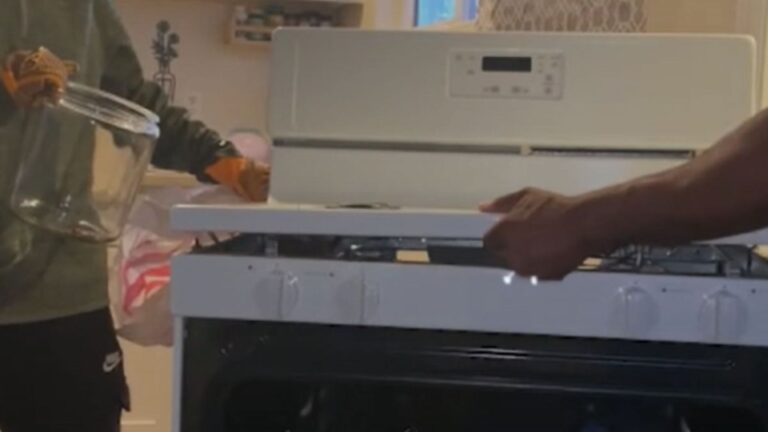 possum living in stove