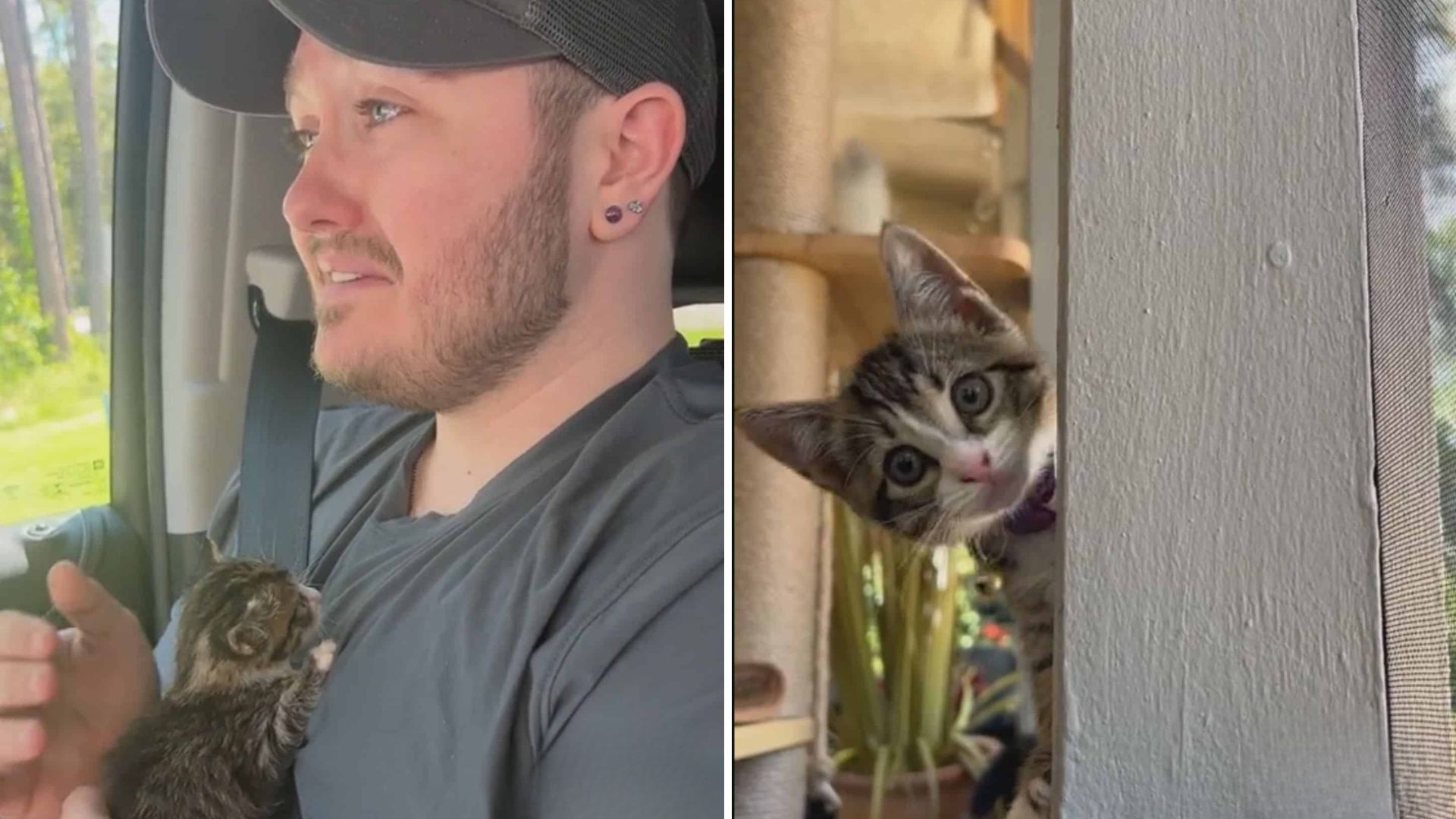 Florida Man Visits Starbucks, Ends Up With An Unexpected Furry Companion
