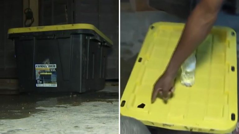 sealed box